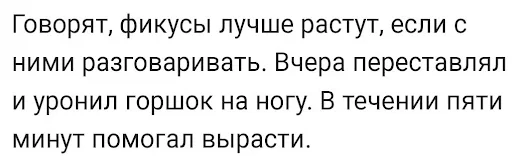 О симбиозах - Юмор, Скриншот, Картинка с текстом, Фикус, Цветочный горшок, Уронили, Разговор