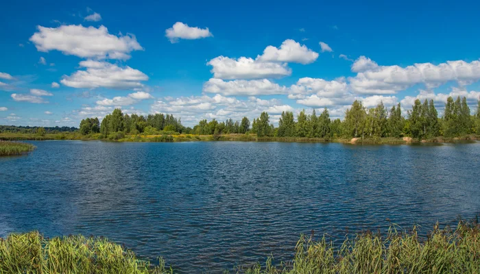 Uglich. Small quarry - My, Nikon, Nature, Landscape, The photo