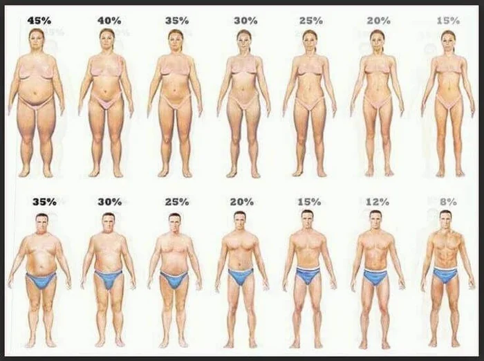 Your choice? - My, Short post, Excess weight, beauty, Diet, Question, Proper nutrition, Healthy lifestyle, Nutrition, Insult