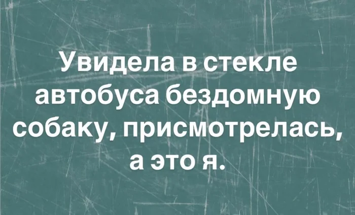 Мемы... или мемуары - Одиночество, Мемуары, Разведенка с прицепом, 30+, Девушки