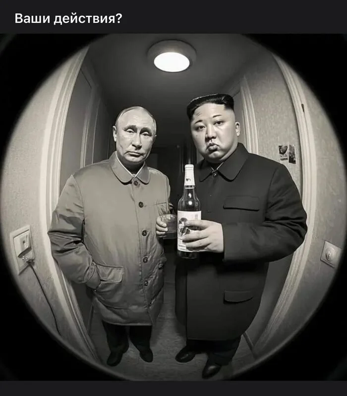 Your actions? - Vladimir Putin, Kim Chen In, Humor, Alcohol, Guests, Public services