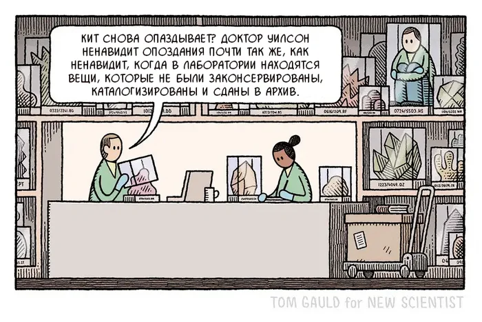 There must be order - Comics, Tom gauld, Translated by myself, archive