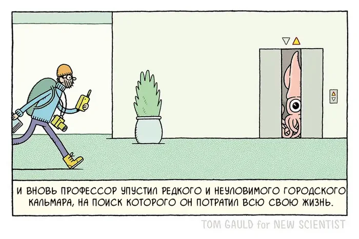 А он был так близко - Комиксы, Tom gauld, Кальмар, Ученые, Перевел сам