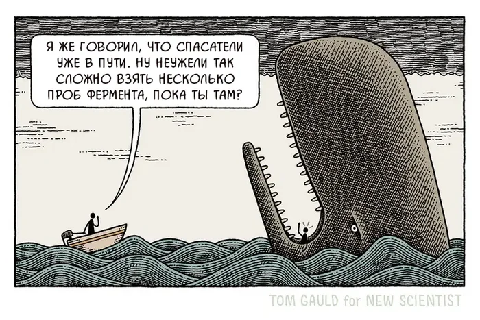 Проба всё, жизнь ничто - Tom gauld, Комиксы, Перевел сам