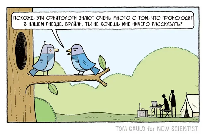 The Truman Show - Comics, Tom gauld, Translated by myself, Bird watchers, Humor