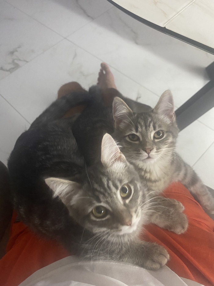     ,  , , ,  , , 