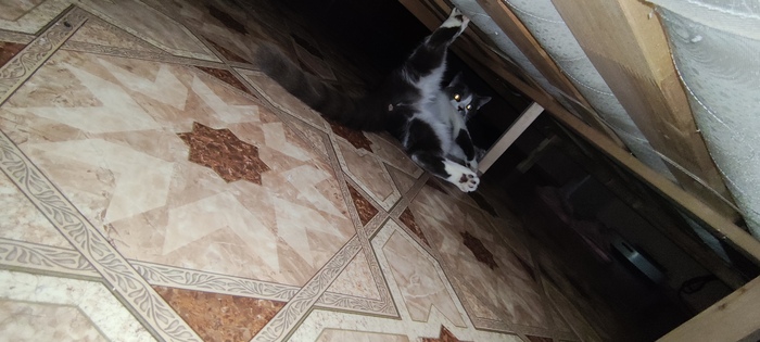        ,   , , 