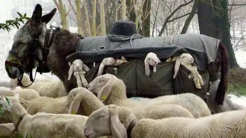 ����������� ���� � ���� ��� �����