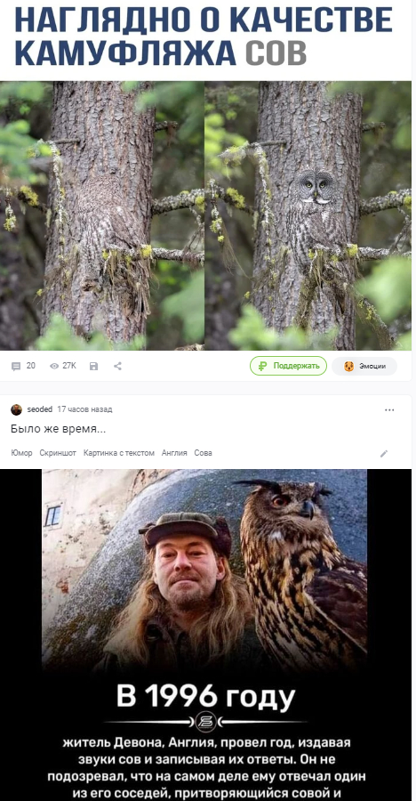 Cats? Pallas' cats? Owls! - Owl, Series of posts, Posts on Peekaboo, Screenshot