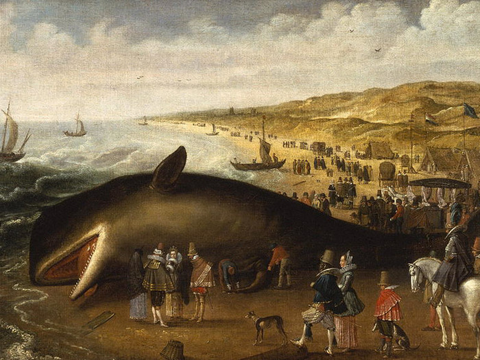 ��������� ���� �������, ����� �������� �������... ����� 1� 2024 � ���������