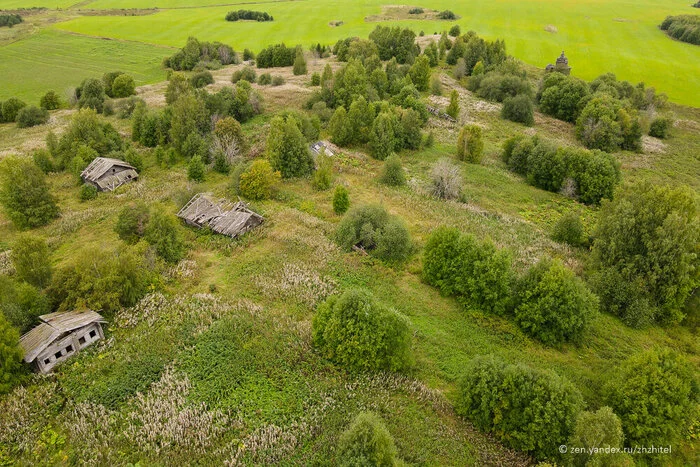 Abandoned village Selivanovo: sad pictures of the Russian North - My, Travel across Russia, Village, Abandoned, Russian North, Arkhangelsk region, Wooden architecture, Chapel, Longpost, The photo, A wave of posts