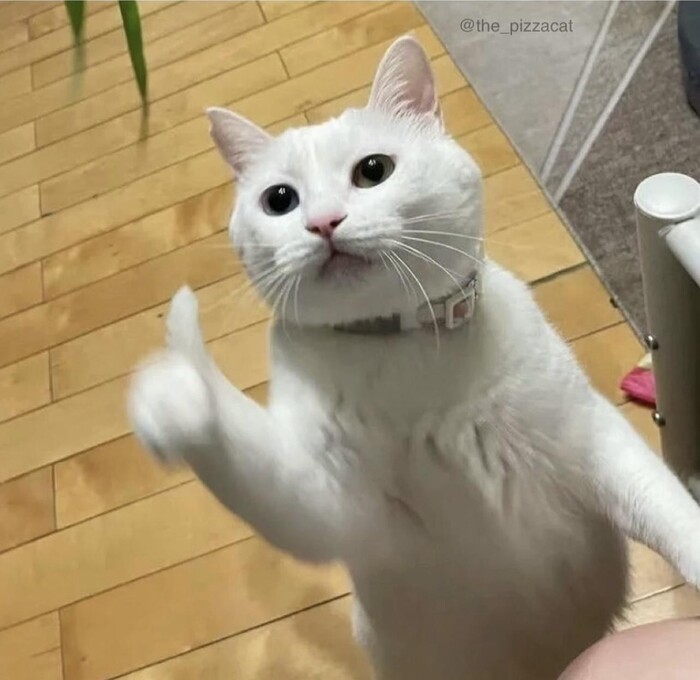 , 
