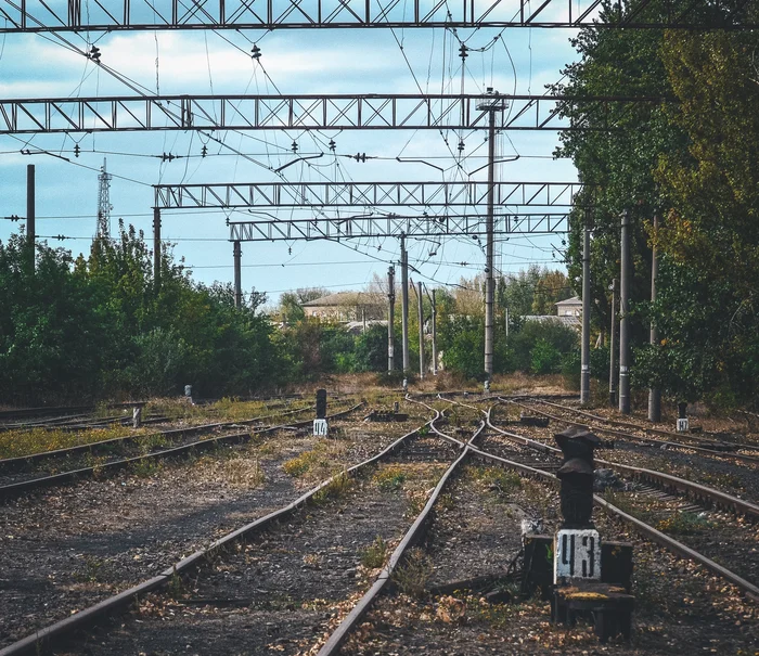 Train ride - My, The photo, Anthracite, Nikon d3100, Greenery, Autumn, Railway, Walk, Longpost