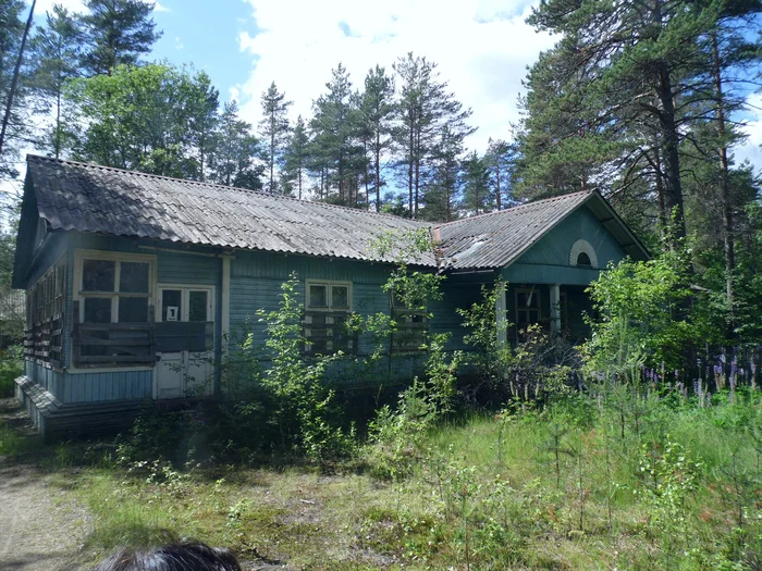 Pioneers - Memories, Pioneers, Pioneer camp, Longpost, Childhood memories, the USSR, Childhood in the USSR, Childhood