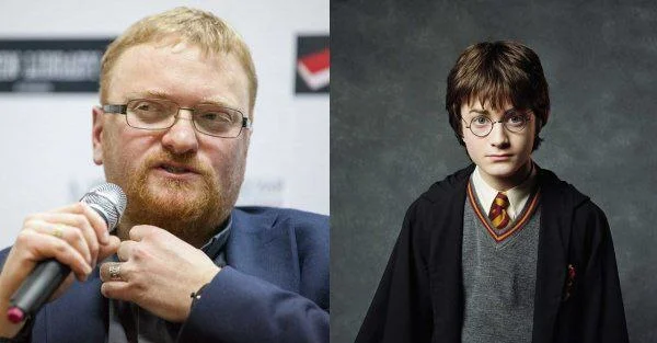 Harry Potter fans are worse than quad bikers, says MP Milonov - news, Vitaly Milonov, Harry Potter