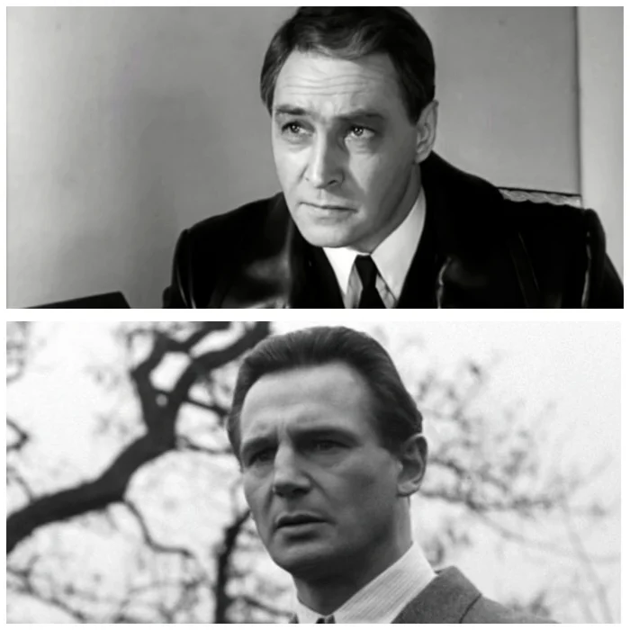 Stirlitz and Schindler - Collage, Actors and actresses, Movies, Vyacheslav Tikhonov, Liam Neeson