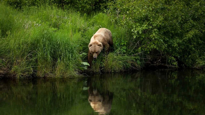 ������������� ������