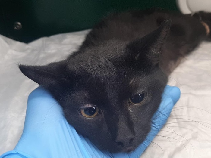 �������� ����� � ������� �� ����, �� ����� ��� ���������� �����. ������� �������� �������: � ������� ���� ���������� ���������