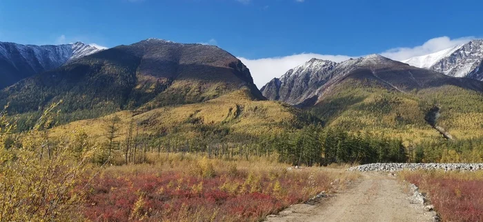 Riot of colors - Landscape, The photo, Nature, Autumn, The mountains