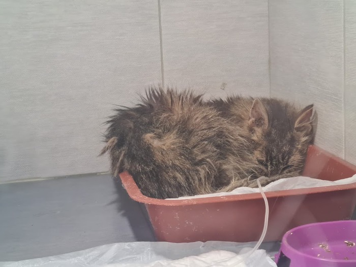 � ������������ ������� ����� �������� � ����� � ����������� �� ���� �� ��������