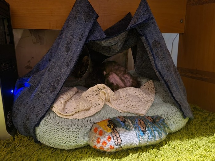 ��� � � �������, � ������ ����� ����� ������� ����� ���������� ���������