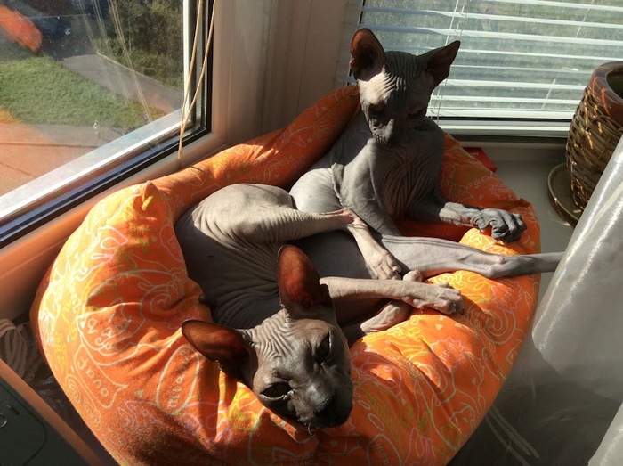 ��� ������� �� ������ �� ����� ������ ����