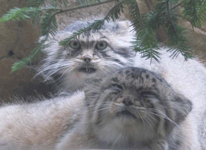 Я и моя фотогеничная жена