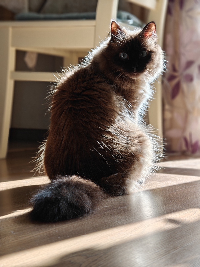 Рубрика фото дня