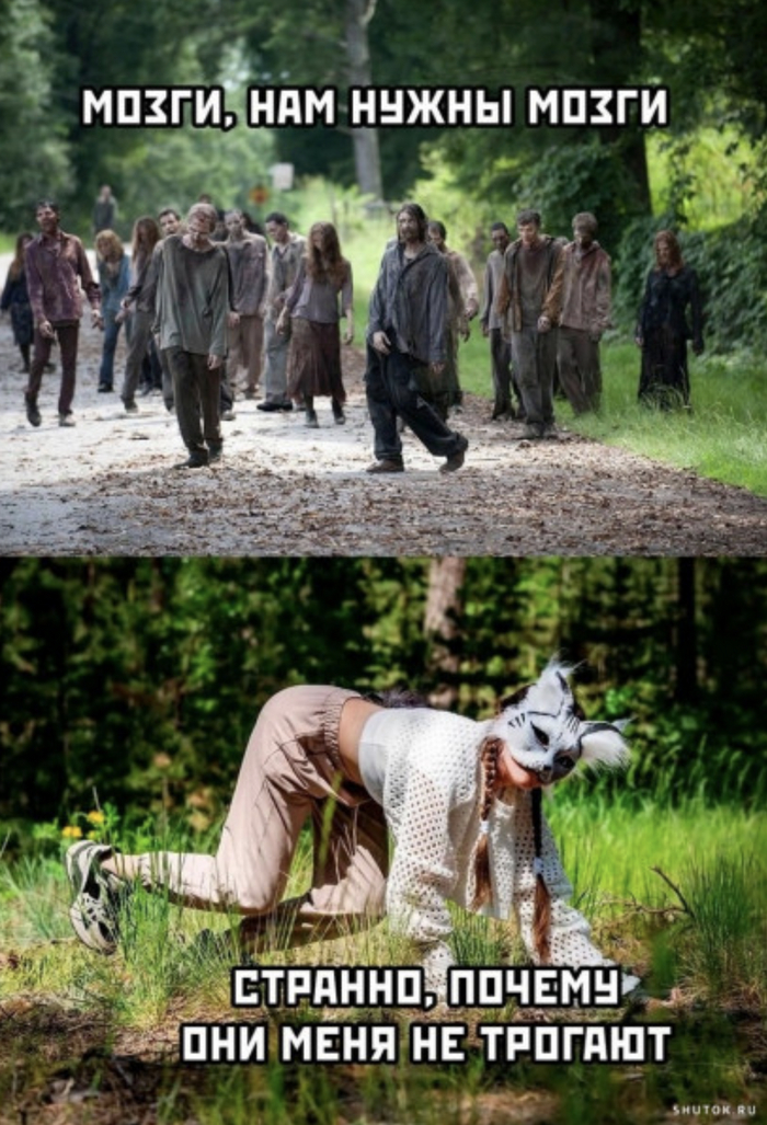 ����� � �����������