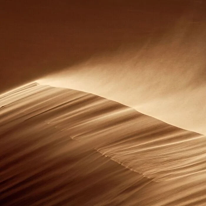 Dune landscape - Dunes, Sand, wildlife, South Africa, The photo