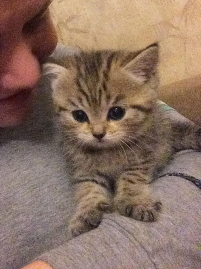 �������� ���� ��������, �� ��� ������� ���� ���������.