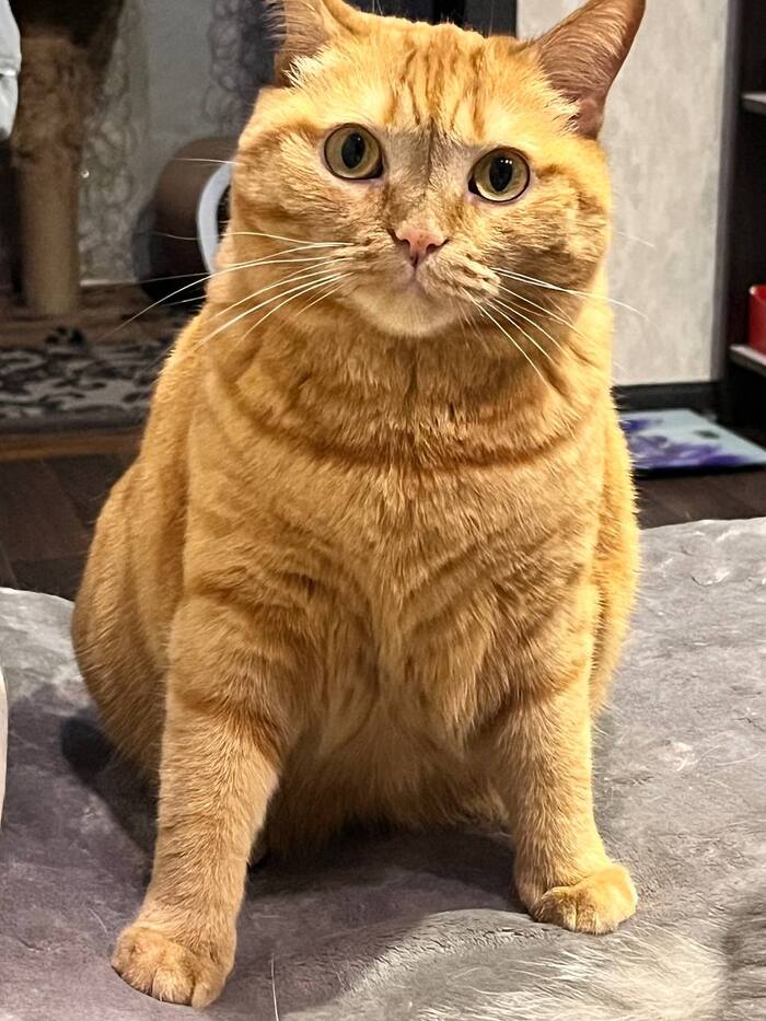 ����� �� ���� �����