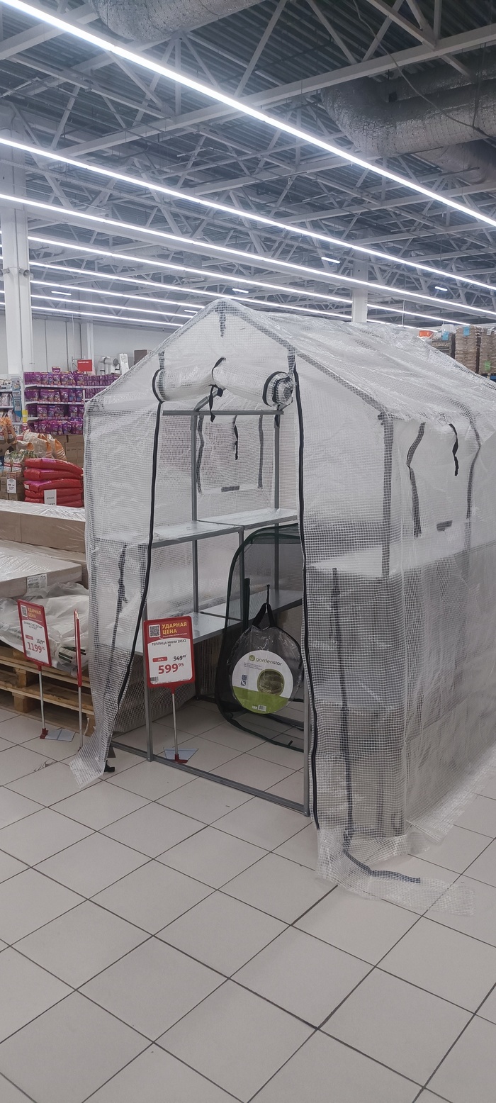 ����� �� ���� ���� ������ ����������� ��������