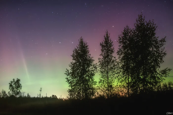 Polar Lights - My, The photo, Nature, Sky, Night, Astrophoto, Polar Lights, Starry sky, Beautiful view, Night shooting, Stars, Landscape, Autumn