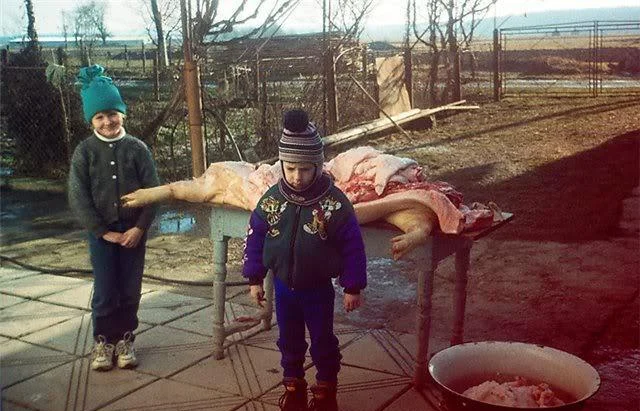 Visiting grandma (southern Poland, mid-90s) - Old photo, Pig, Childhood memories, Childhood, Death