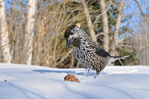 ,       ,   ,   ,     .     !