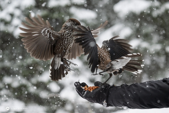 ,    10 000   !  , !