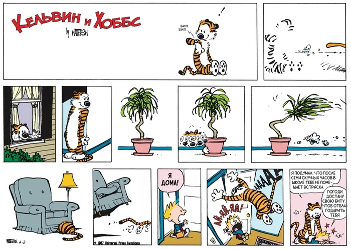 Calvin and Hobbes I'm Home #1 - Calvin and Hobbs, Translated by myself, Comics