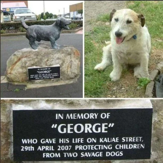 Little hero - Dog, Heroism, Children, Ferocious, Protection, 2007, Monument, Repeat