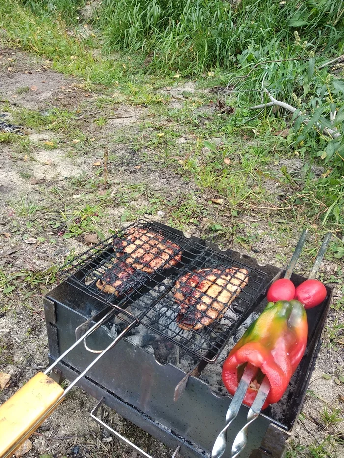 Barbecue picnic - My, Chelyabinsk, Shashlik, Autumn, Lake, Brazier, Longpost