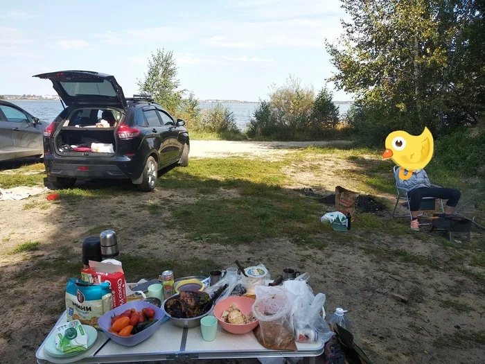 Barbecue picnic - My, Chelyabinsk, Shashlik, Autumn, Lake, Brazier, Longpost