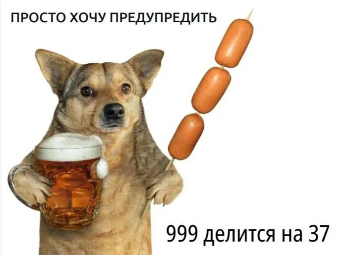 Useful knowledge - Humor, Memes, Picture with text, Mathematics, Dog, Beer, Sausages, Repeat