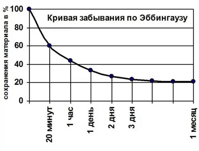 Полное руководство по развитию памяти - Моё, Образование, Память, Длиннопост