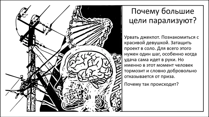 Когда большая цель парализует. Почему мозг сбоит в условиях огроменной выгоды? - Моё, Мозг, Исследования, Наука, Научпоп, Достижение, Успех, Целеустремлённость, Длиннопост