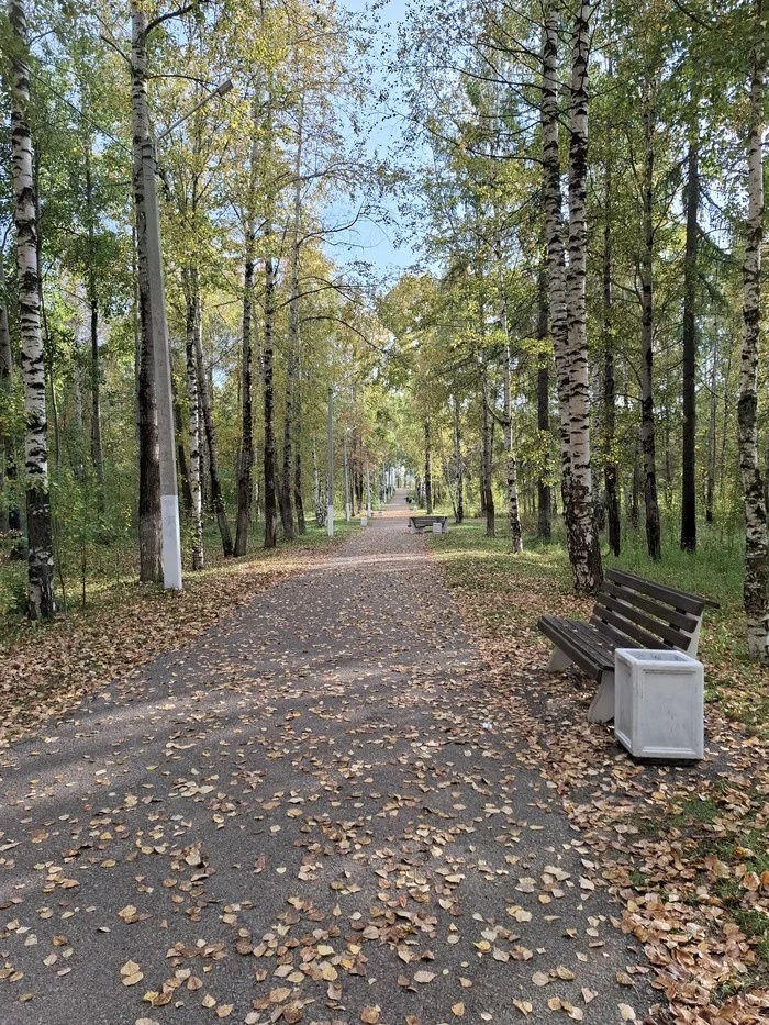 Осень - Моё, Пермский край, Соликамск, Парк, Длиннопост, Прогулка, Фотография, Осень, Осенние листья