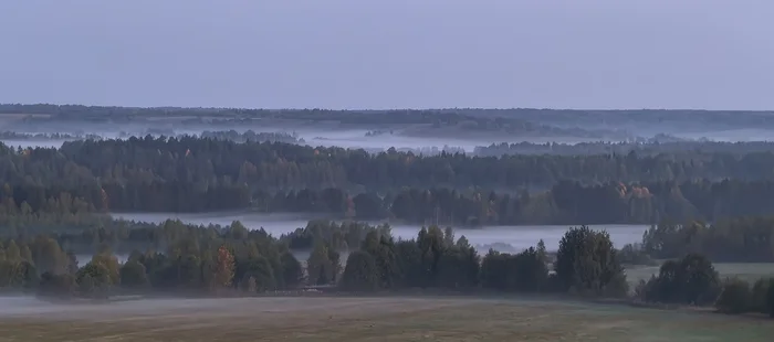 Fields around the village of Selivanovo - Village, Morning, Fog, Сельское хозяйство, Chapel, A life, Walk, Longpost, The photo