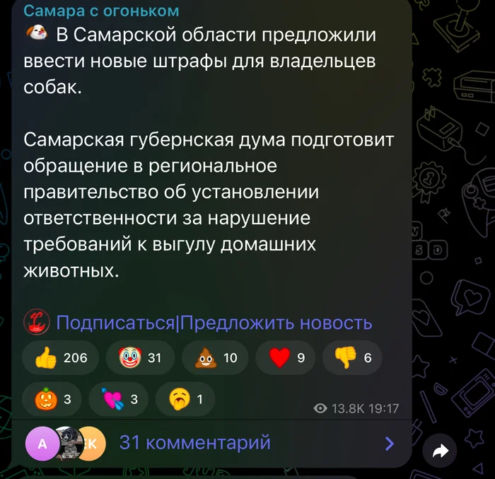 Опять про собак - Моё, Собачники, Бездомные животные, Бродячие собаки, Фекалии, Зоозащитники, Закон, Собака