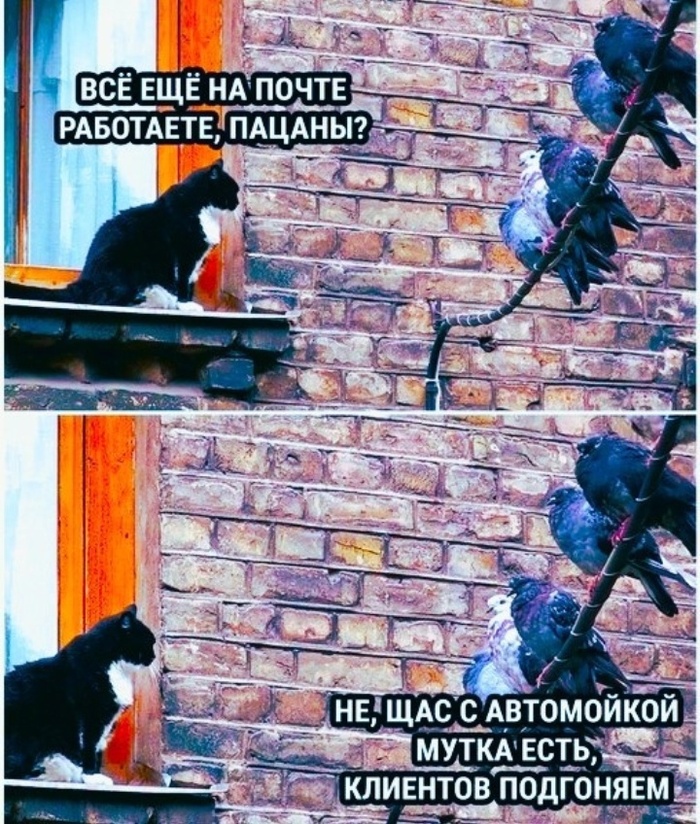 ����� ������