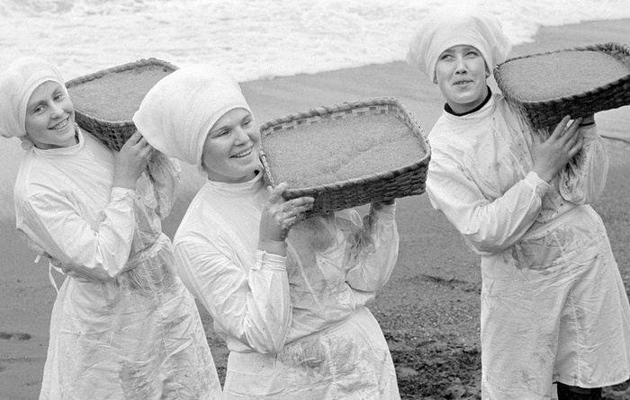 На Камчатке. 1977 год