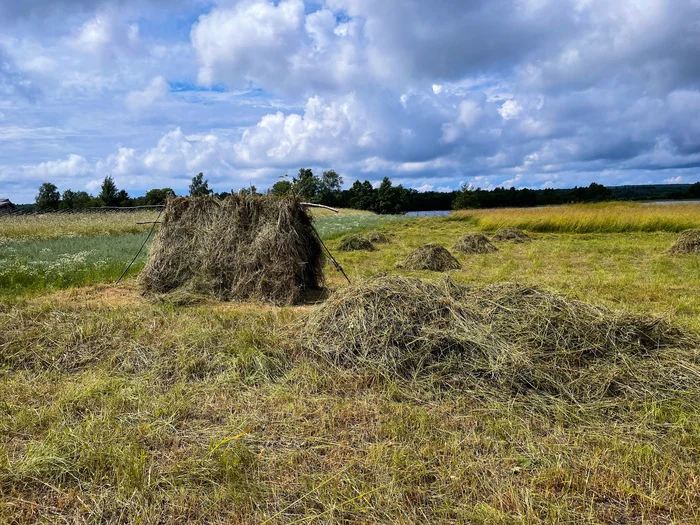 Oh, if only I could go back to childhood - My, Hut, The photo